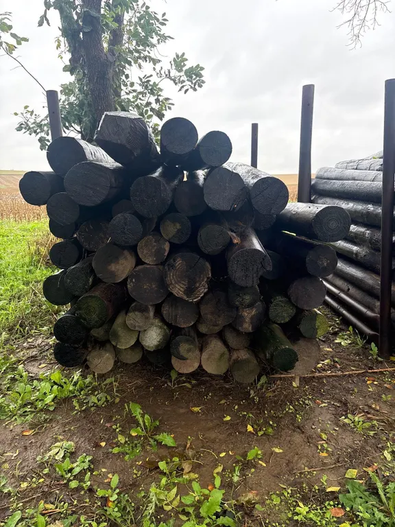 Wood Post And Stand