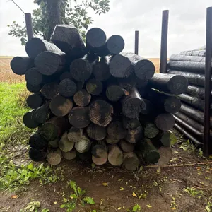 Wood Post And Stand