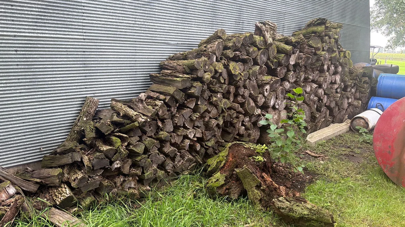 Firewood
