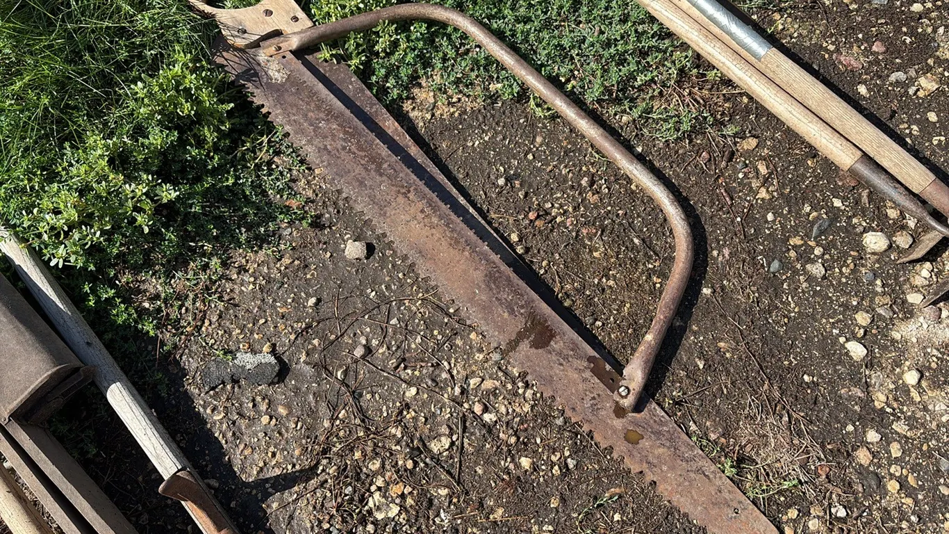 2- Antique Saws
