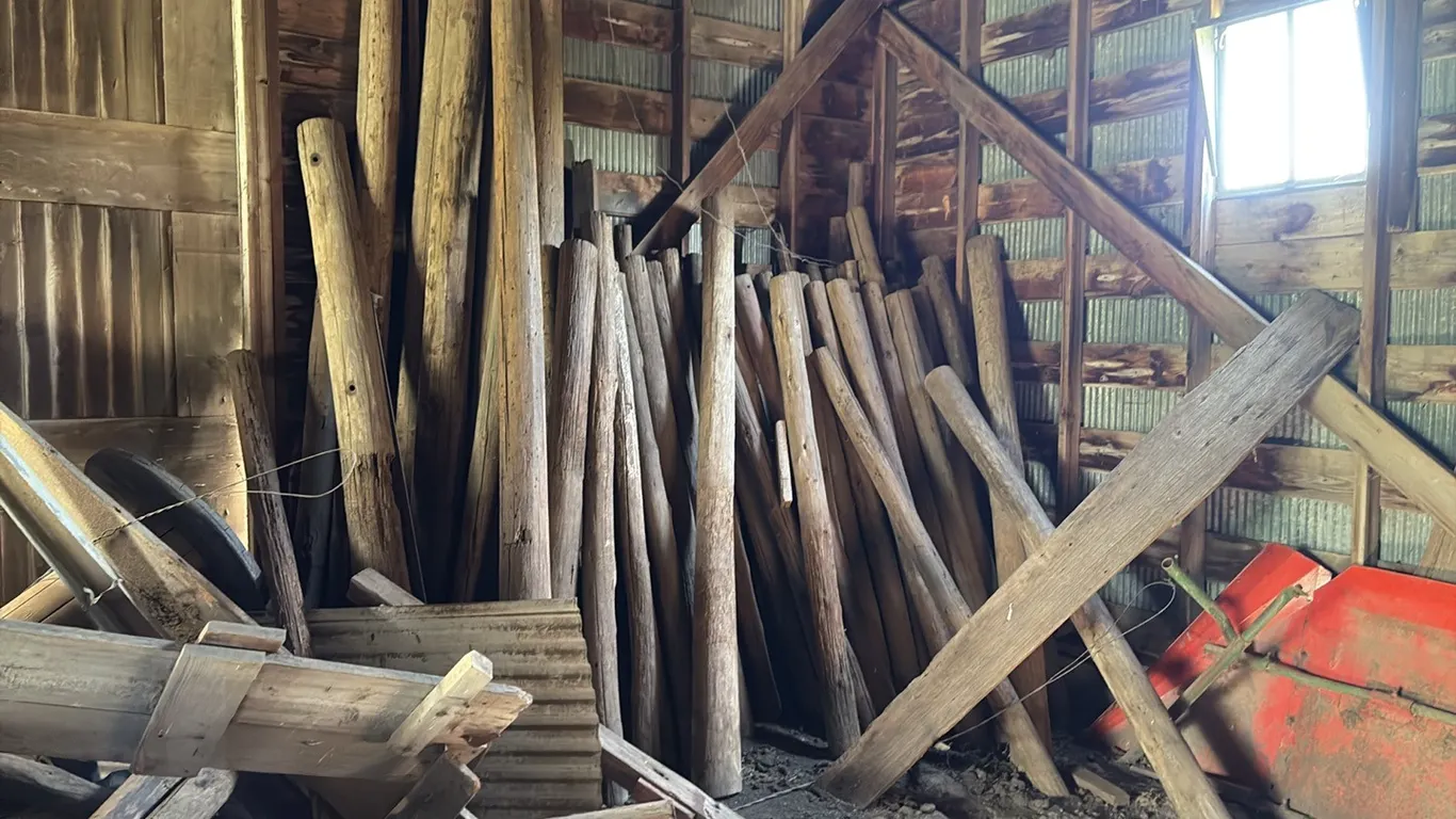 Assorment of Wood Poles