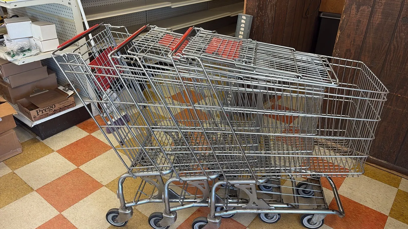 3- Shopping Carts