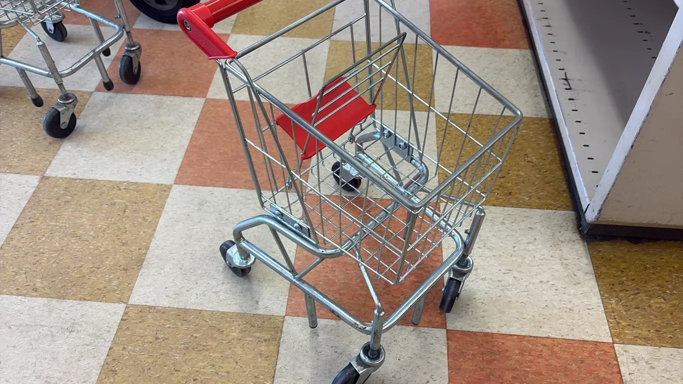 Kids Shopping Cart