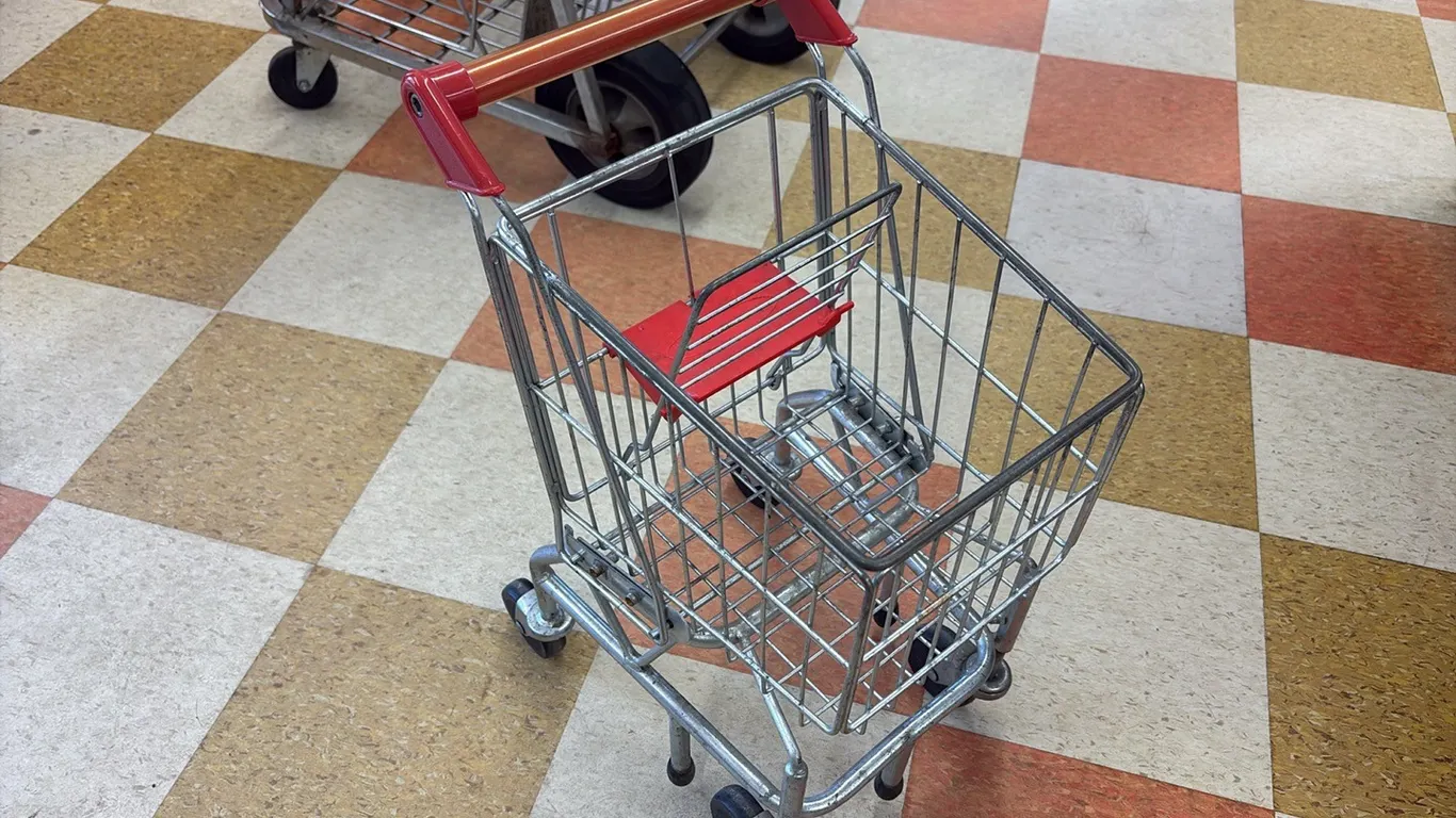 Kids Shopping Cart