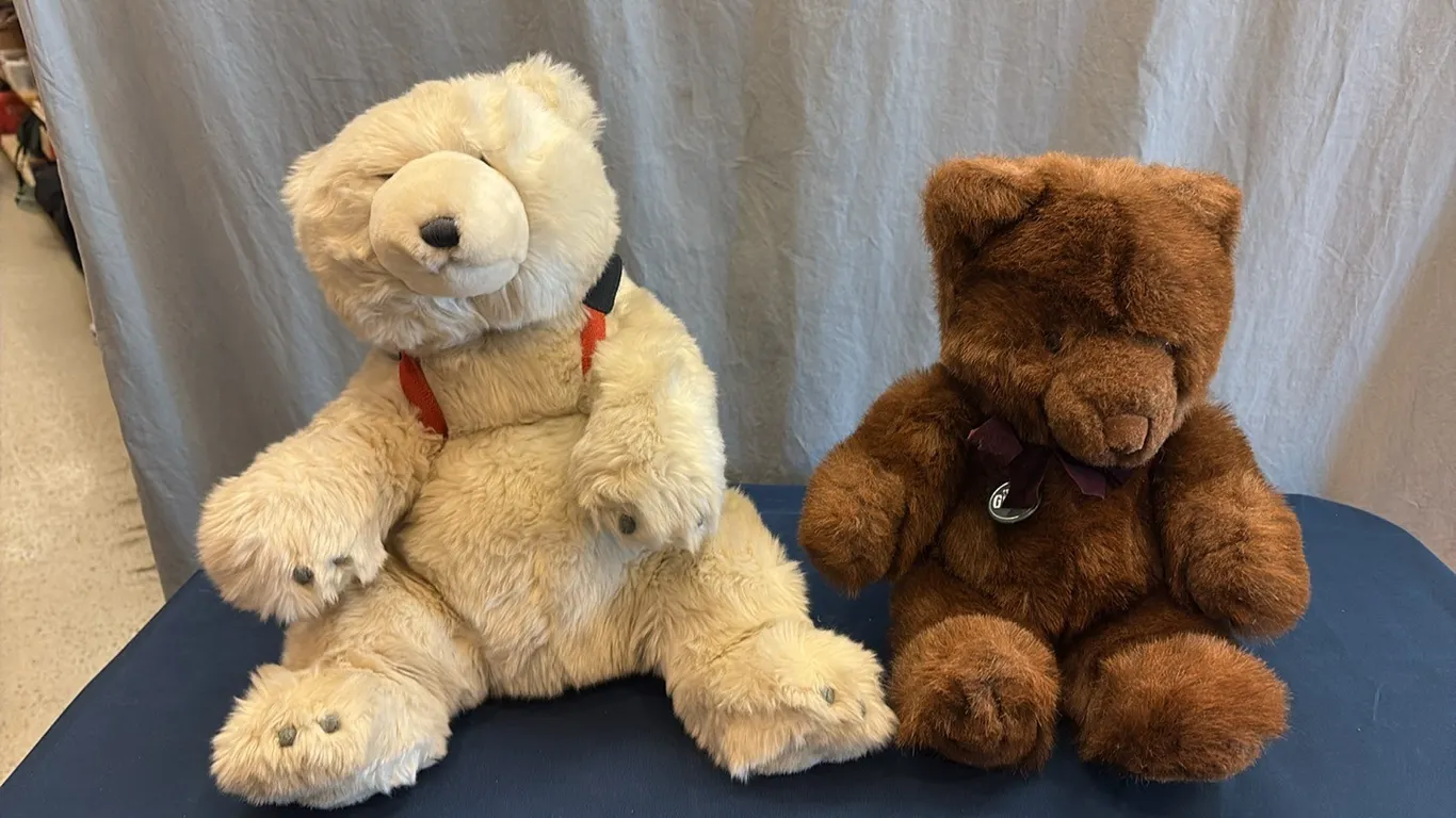 Stuffed Bears