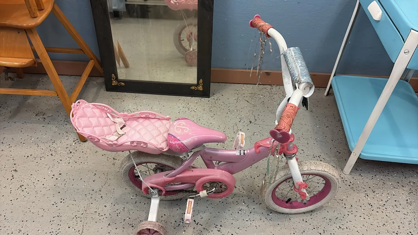 Princess Bike