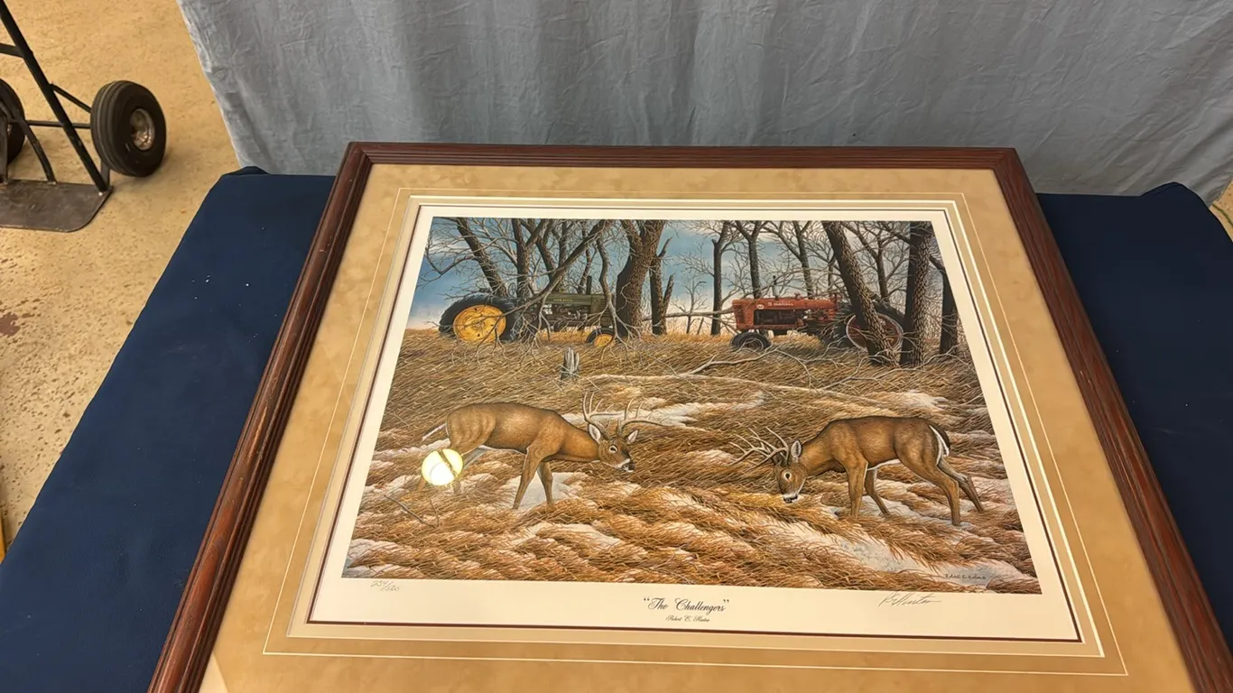 Framed picture