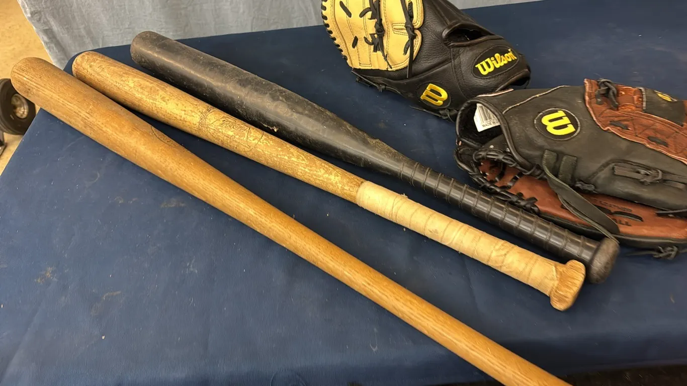 Bats, gloves