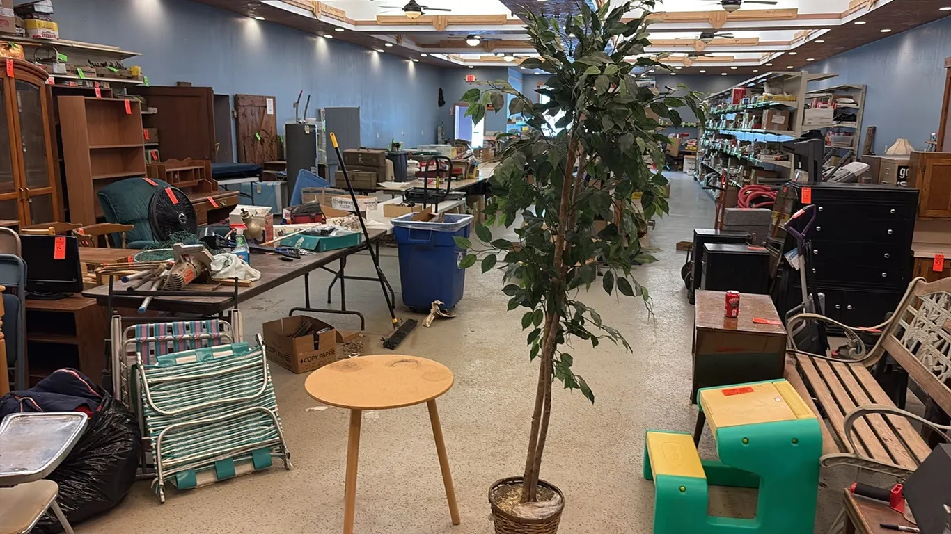 Plant Table & Artifical Tree