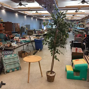 Plant Table & Artifical Tree