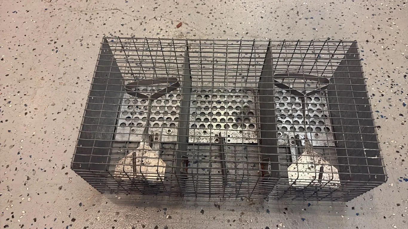 Wire Trap