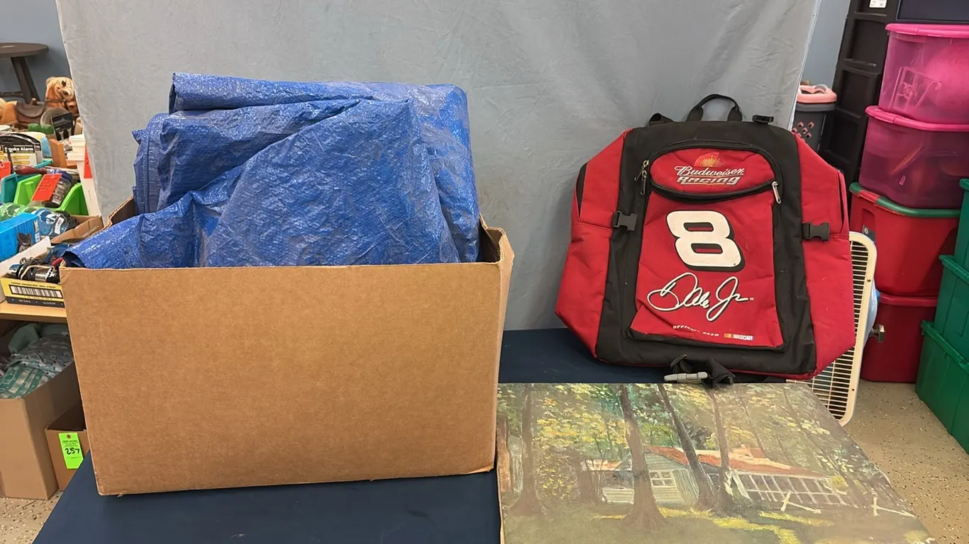 Tarp, Painting & Dale Jr Backpack