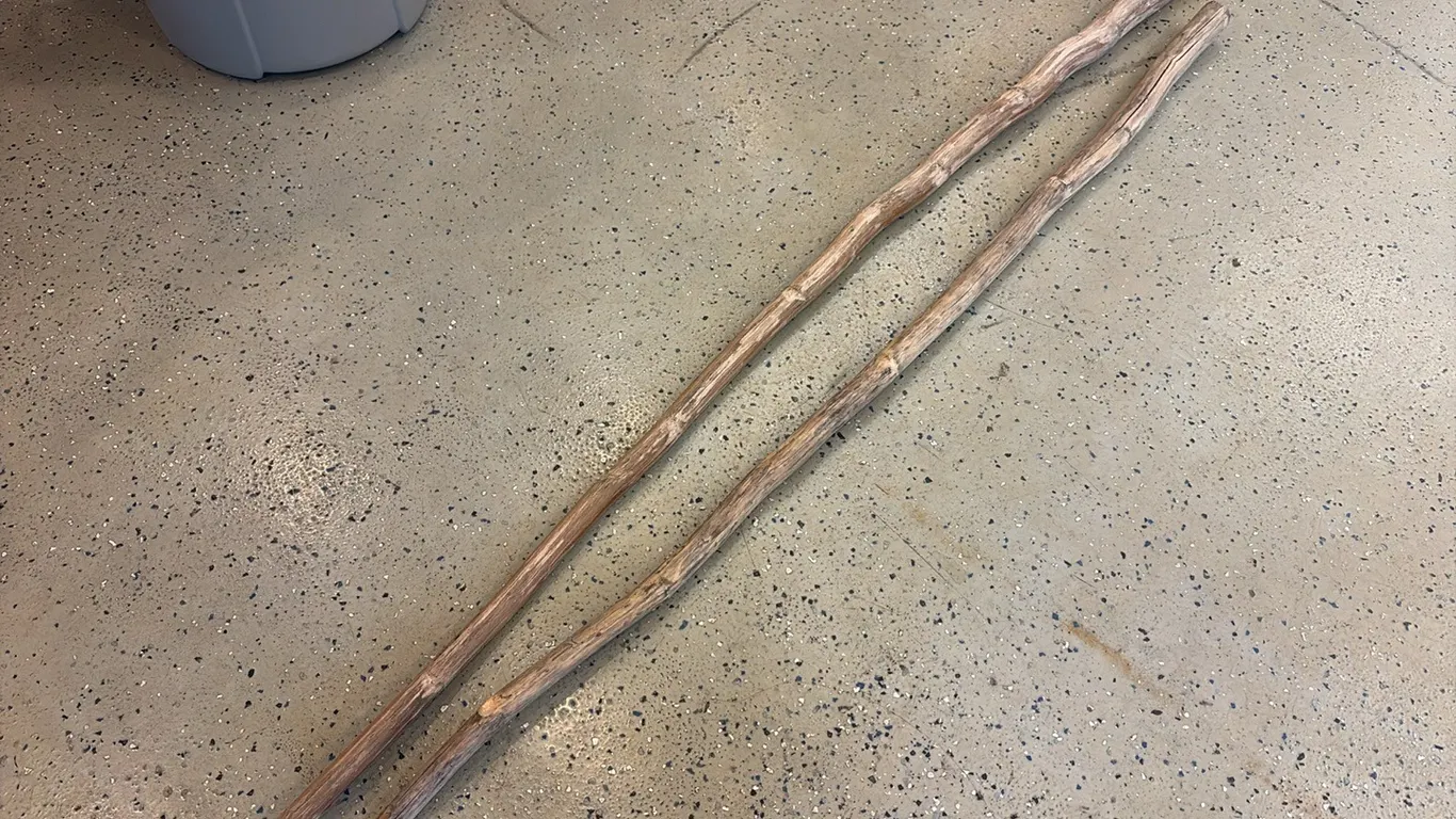 2- Walking Sticks