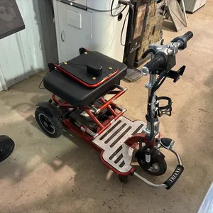 Triaxe Scooter