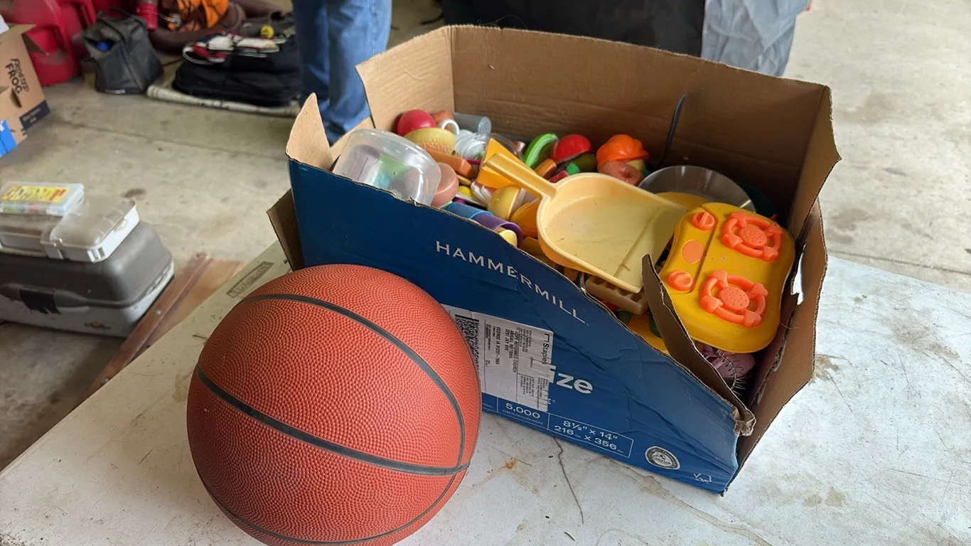 Basketball & Toy Food/Kitchen Items