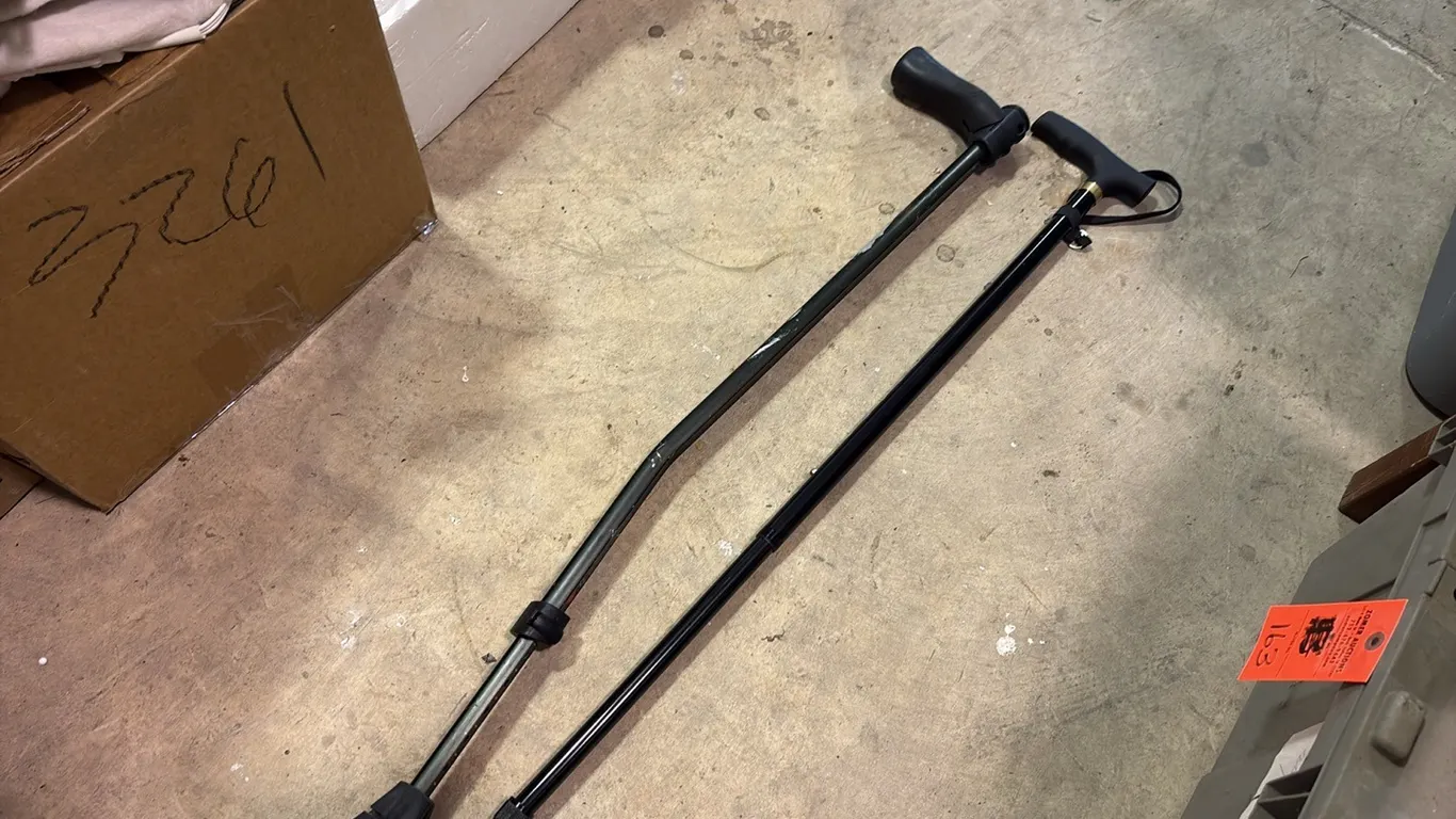 2- Canes