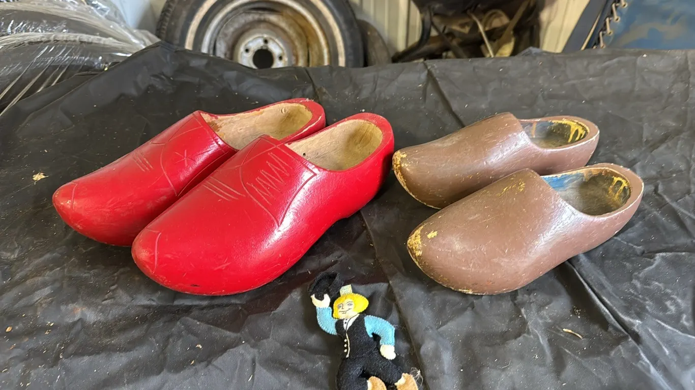 Wooden shoes