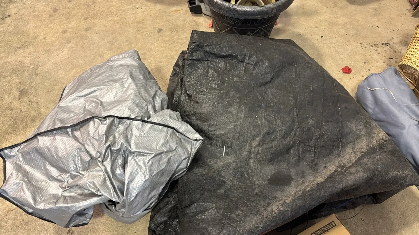 Tarp