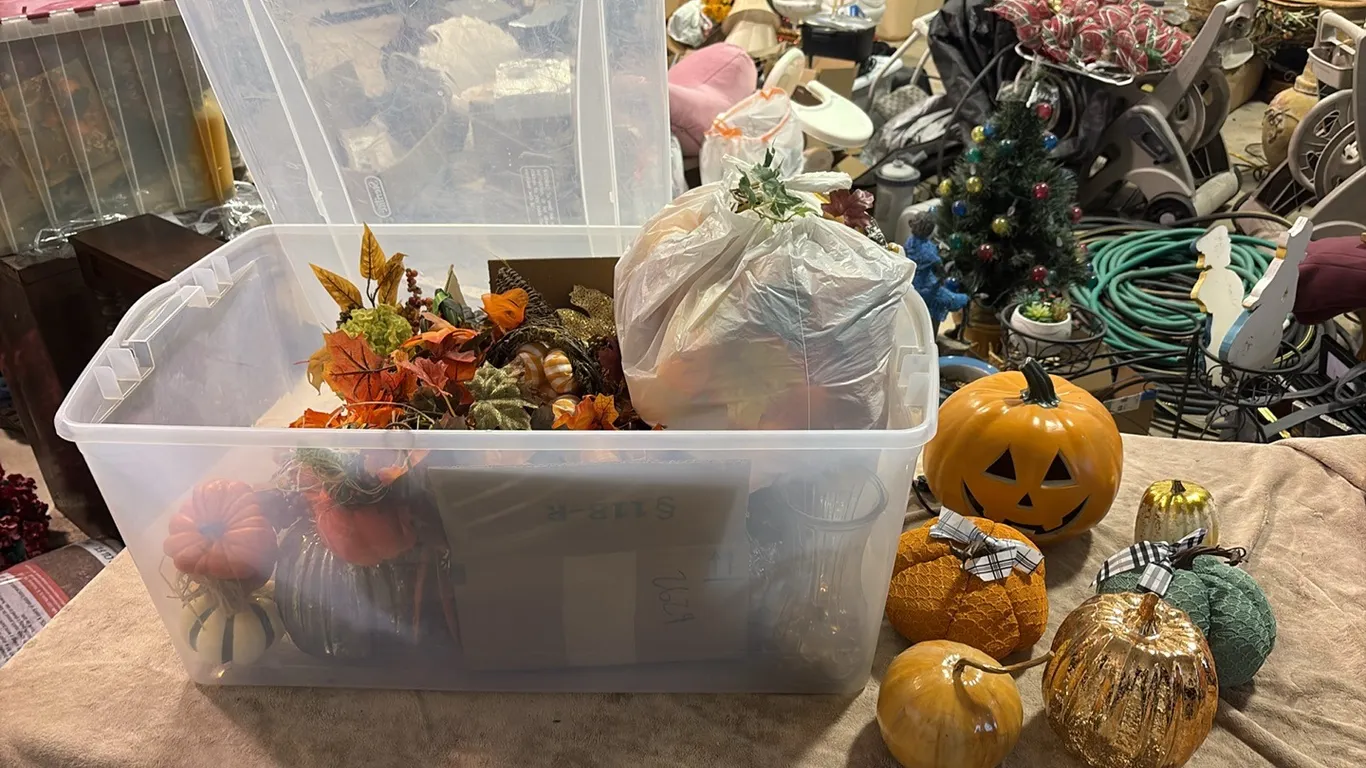 Tote of Fall Decor
