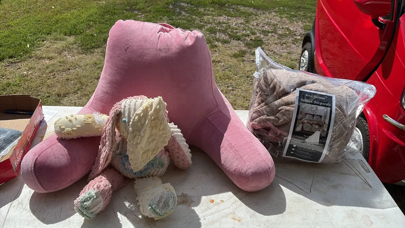 Blanket, Pillow & Stuffed Animal