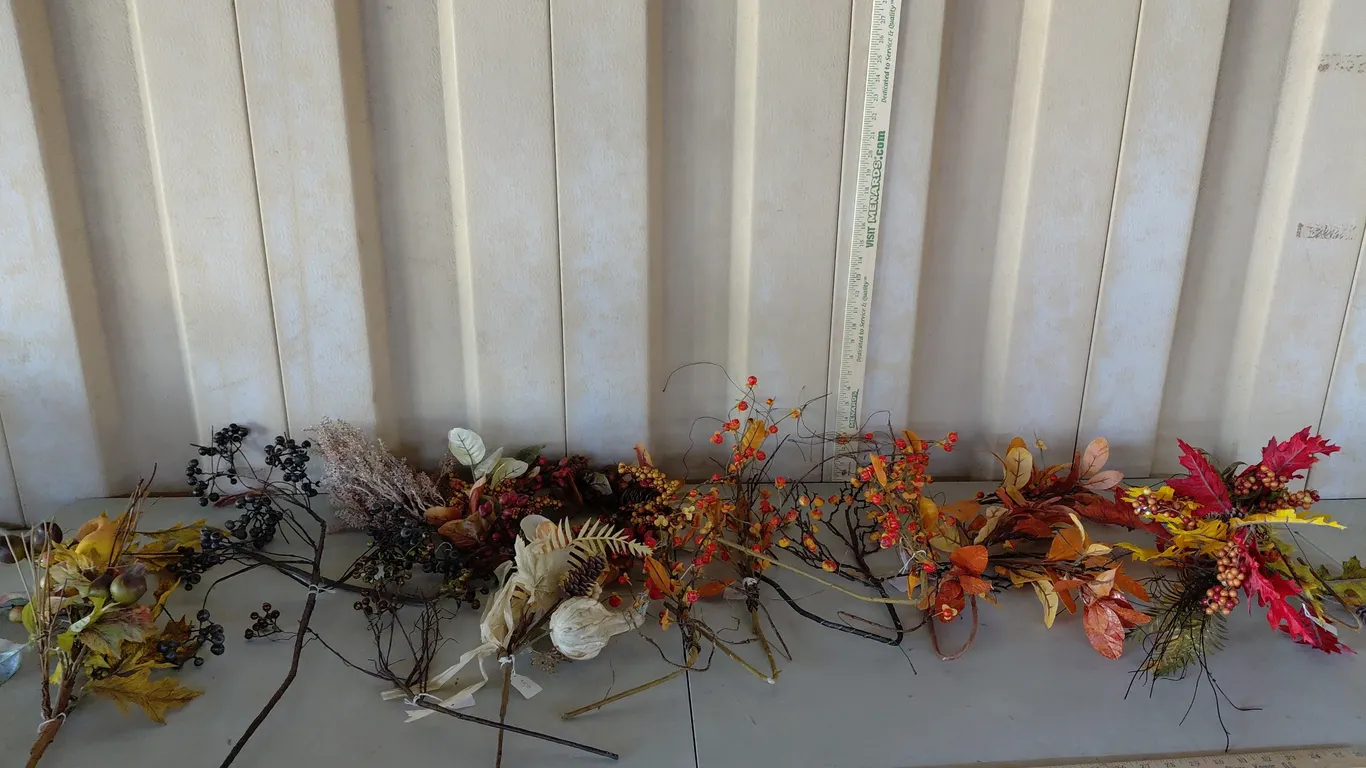 Assorted Fall Leaves, Etc.