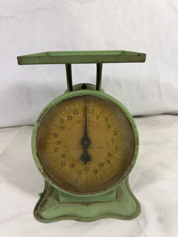 Prudential Family Scale