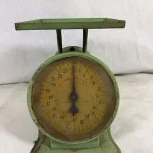 Prudential Family Scale