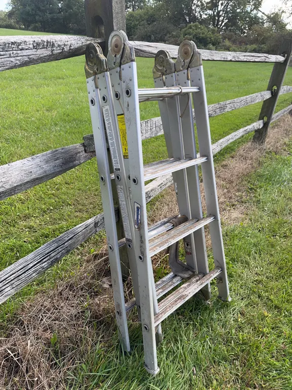 Louisville Ultimate Ladder