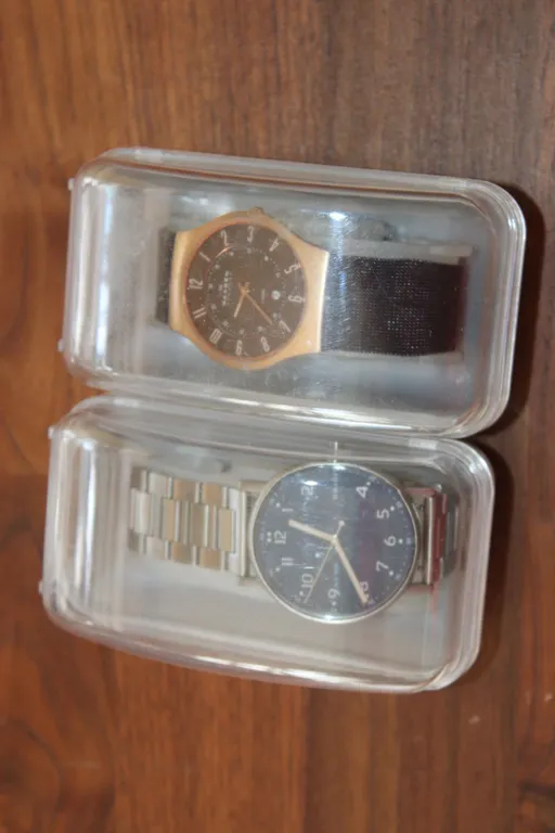 Skagen Wristwatches