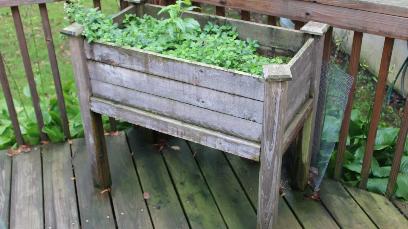 Raised Wood Garden Planter
