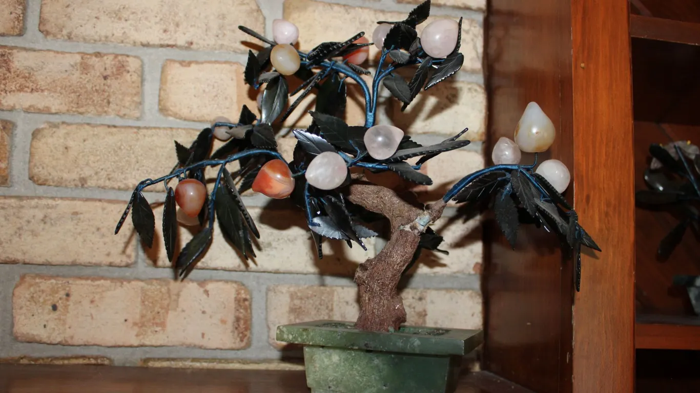 Stone Fruit Tree