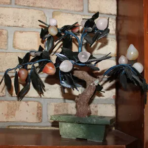 Stone Fruit Tree