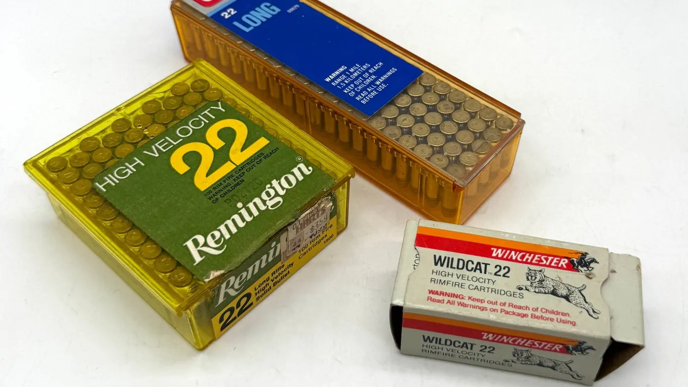 .22 Long Rifle Ammo Remington Winchester CCI