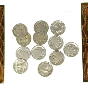Idaho Goldbacks & Buffalo Nickels