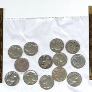 Buffalo Nickels and Idaho Goldbacks