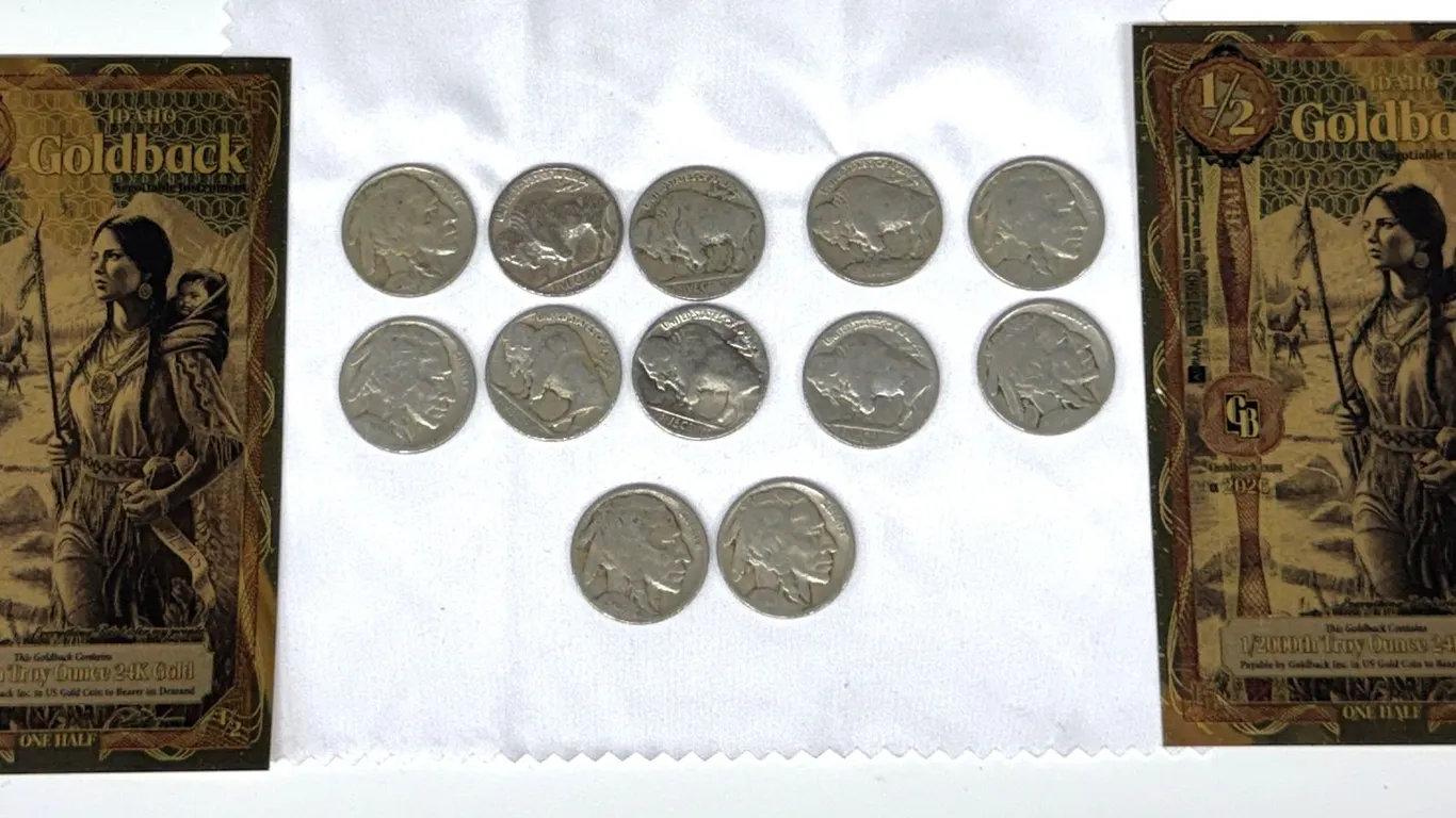 Buffalo Nickels and Idaho 1/2 Goldback Notes