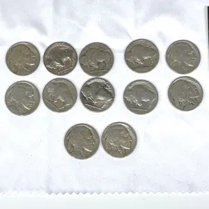 Buffalo Nickels and Idaho 1/2 Goldback Notes