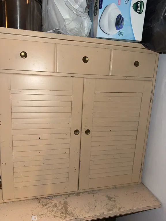Painted Louvered Storage Cabinet