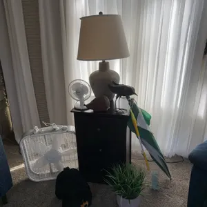 Accent Table, Lamp, Fans & Decorative Accessories