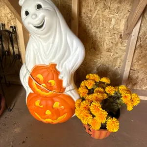 Halloween decor ￼