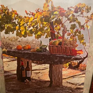 Tuscan Vineyard Harvest Wine & Fruit Basket Canvas Wall Art