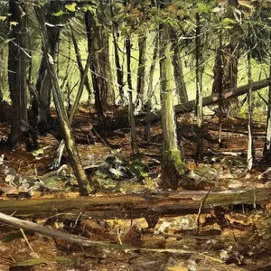 JOHN BENN PLEIN AIR "JACK PINE TRAIL", 2014