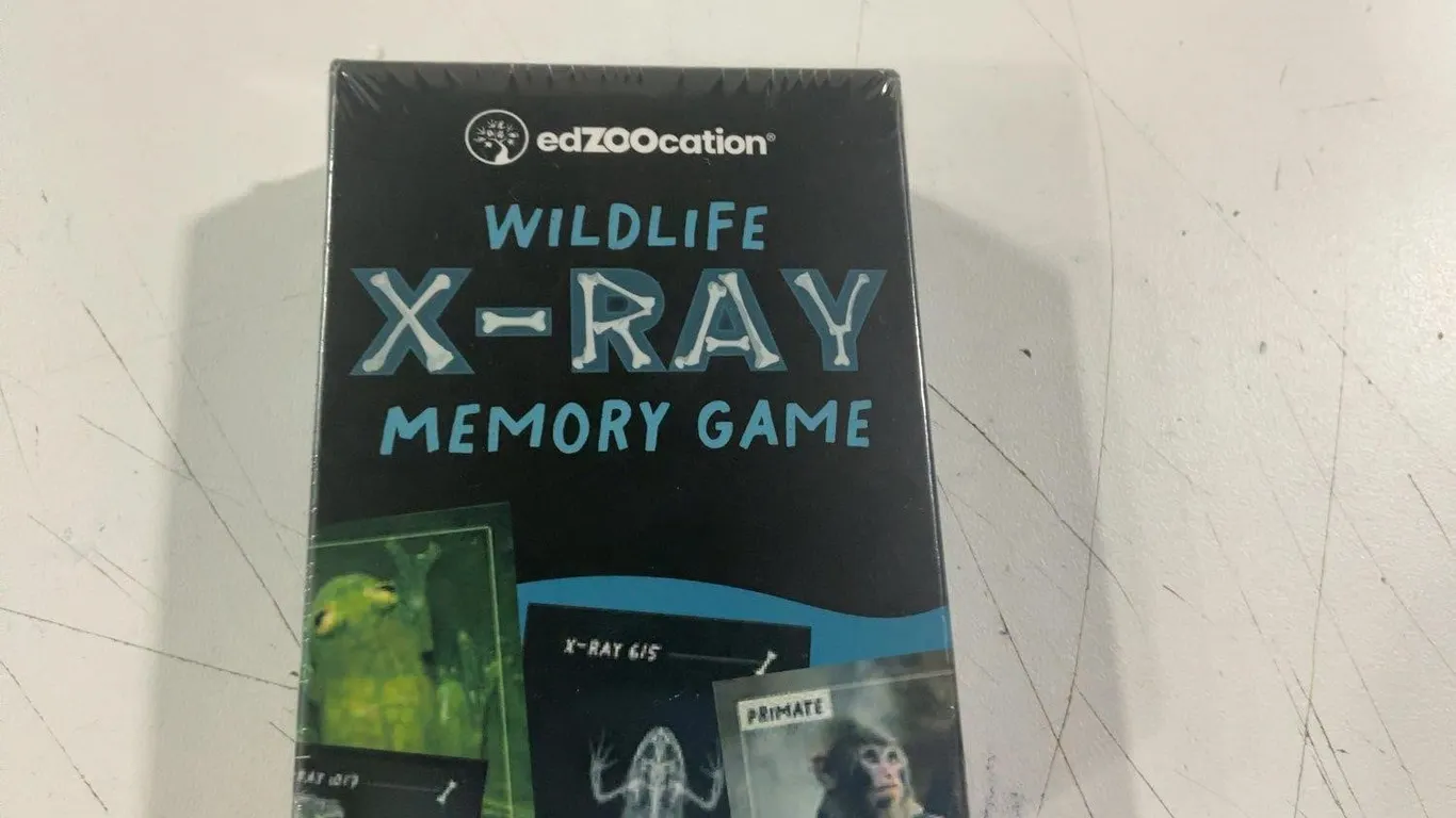 edZOOcation Wildlife X-Ray Memory Game