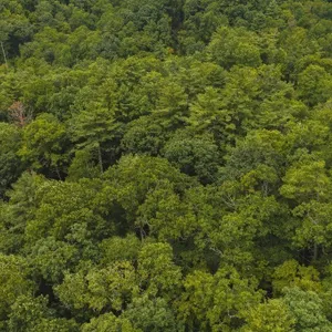 Building Lot for Sale in Marion NC!