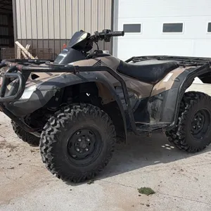 2014  Honda  Rincon TRX680FA   ATV