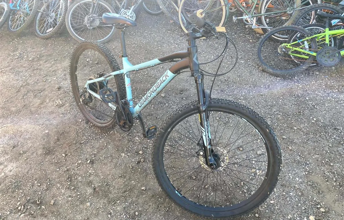 Diamondback Espresso Mountain Bike
UNRESERVED