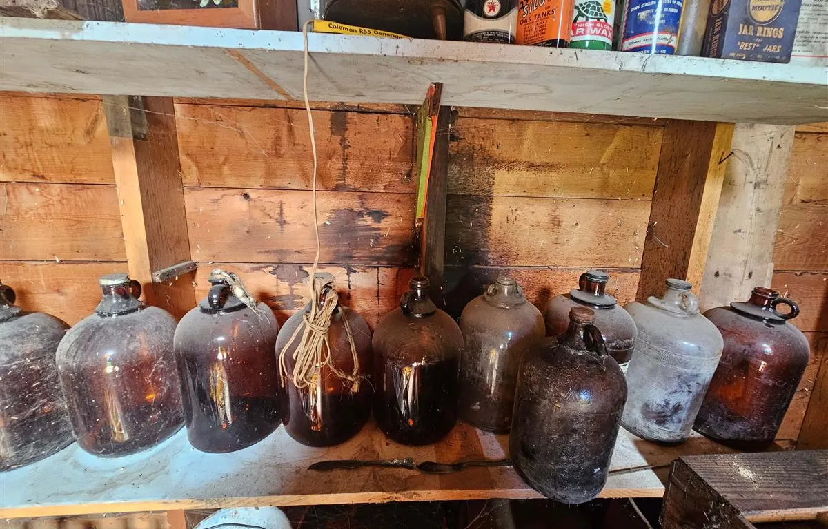 Vintage Glass Demijohn and Jug Collection
UNRESERVED