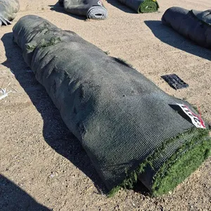 Roll of Artifical Turf
 UNRESERVED