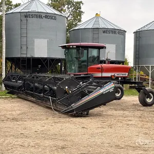 2006 Westward 9352I 30 ft Swather Windrower