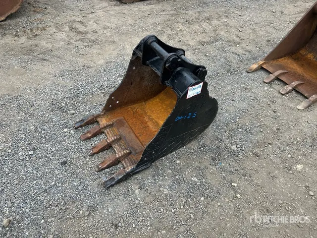 Cat 24 in Digging Excavator Bucket